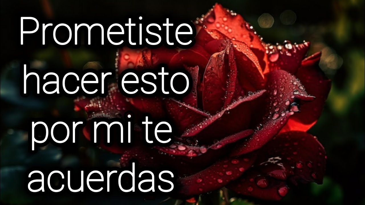 Prometiste hacer esto por mi te acuerdas 