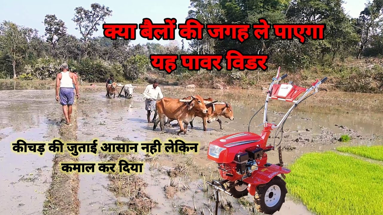 kichad me power weeder se khet ki jutai @Sadabahar bero ranchi jharkhand