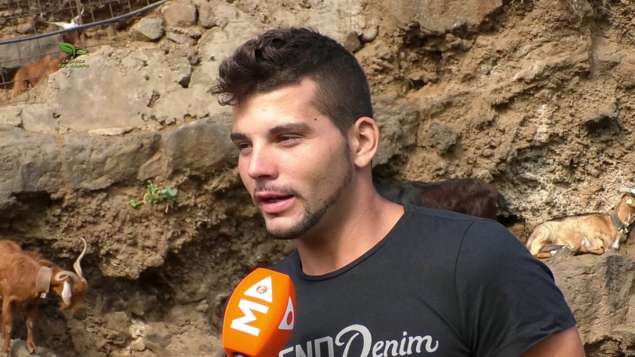 QUESOS JIMAGUA