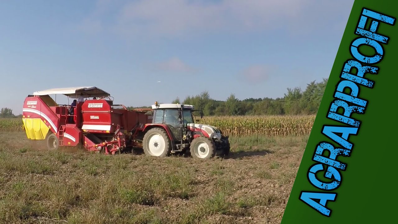 Grimme SE 75-55 | Kartoffelernten