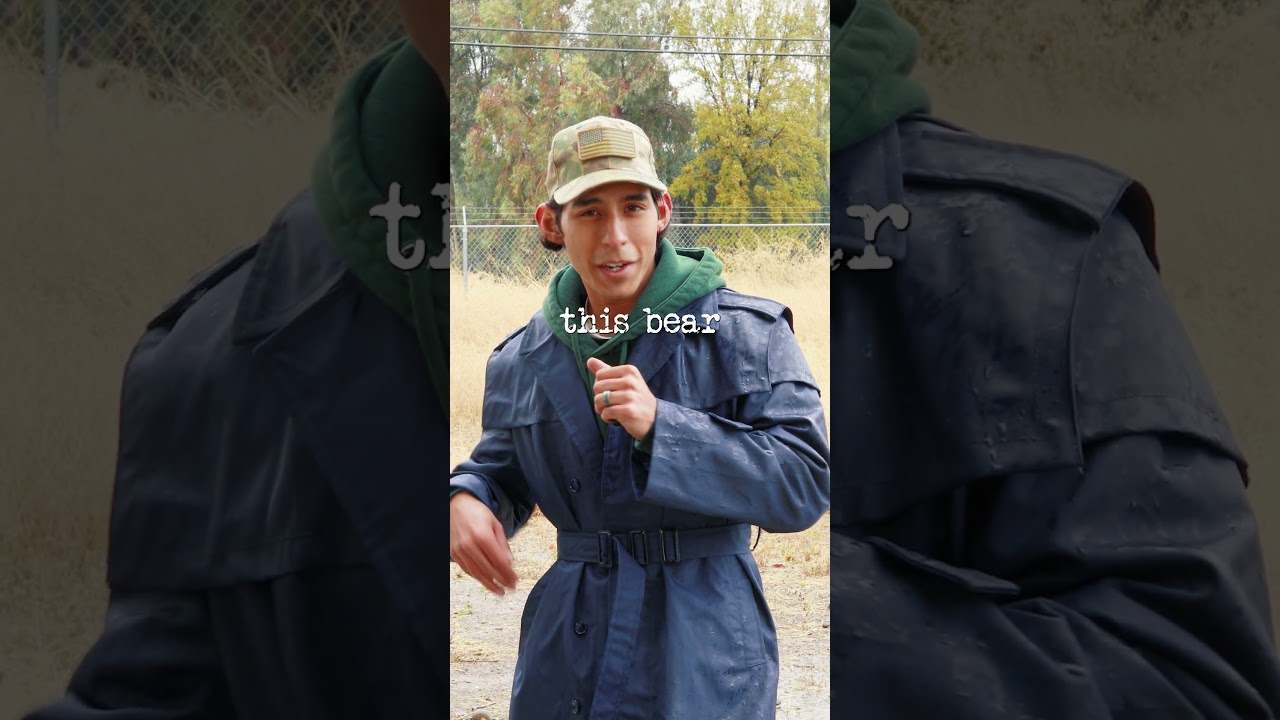 The Crazy Story of Wojtek the Soldier Bear