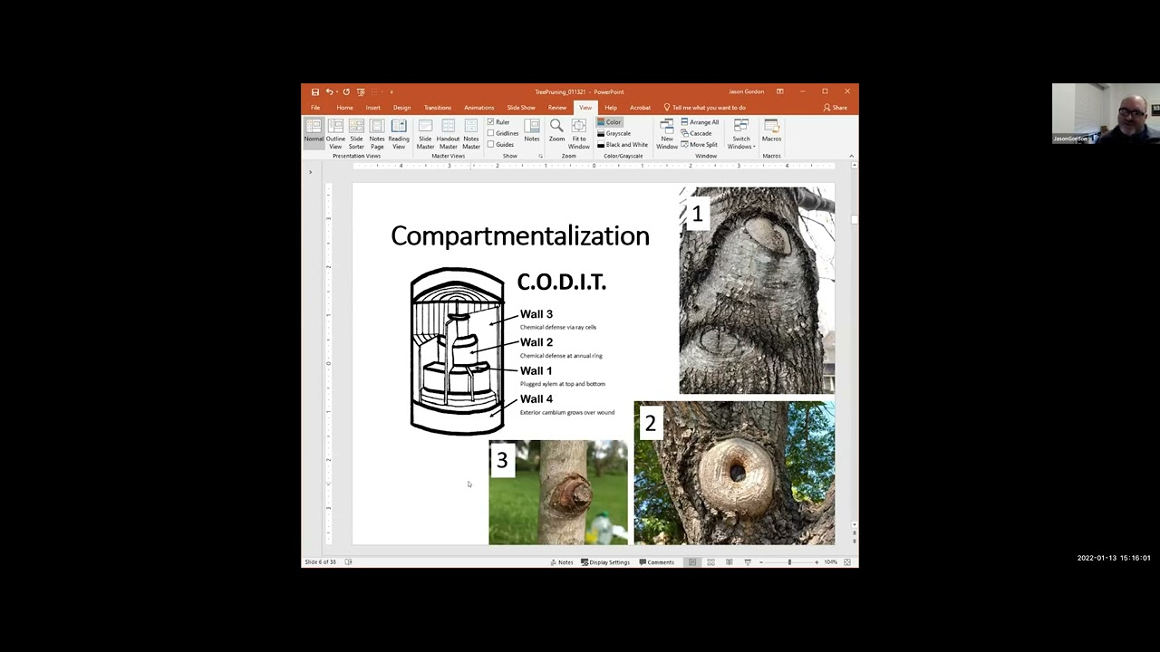 Tree Pruning with Purpose with Dr. Jason Gordon