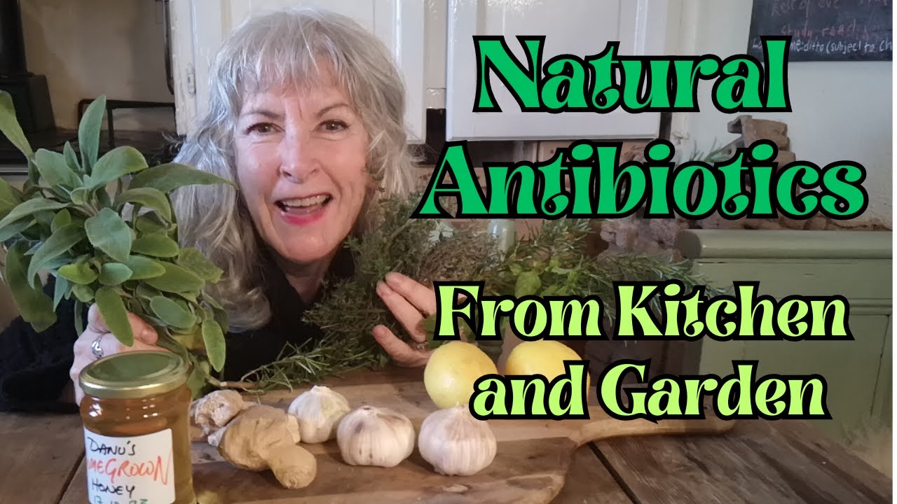 Natural Antibiotics from Kitchen and Garden