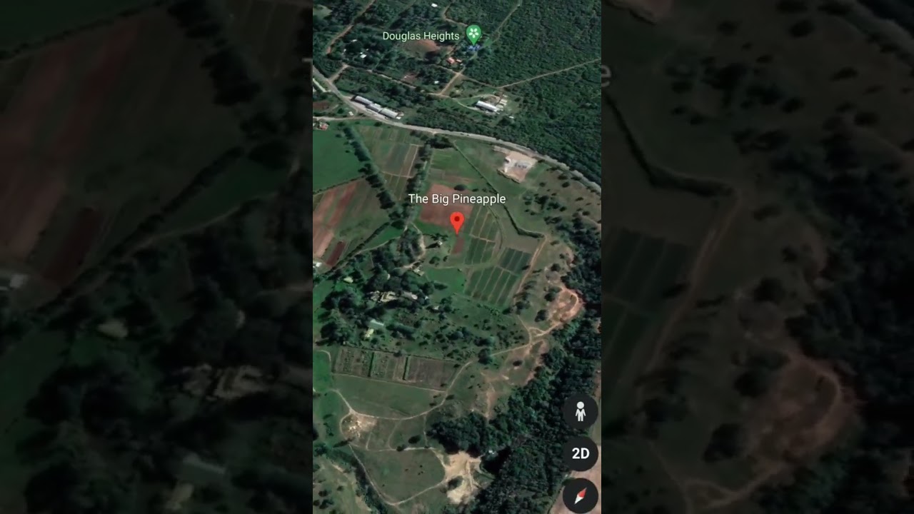 SpongeBob house on Google Earth #spongebob #googleearth