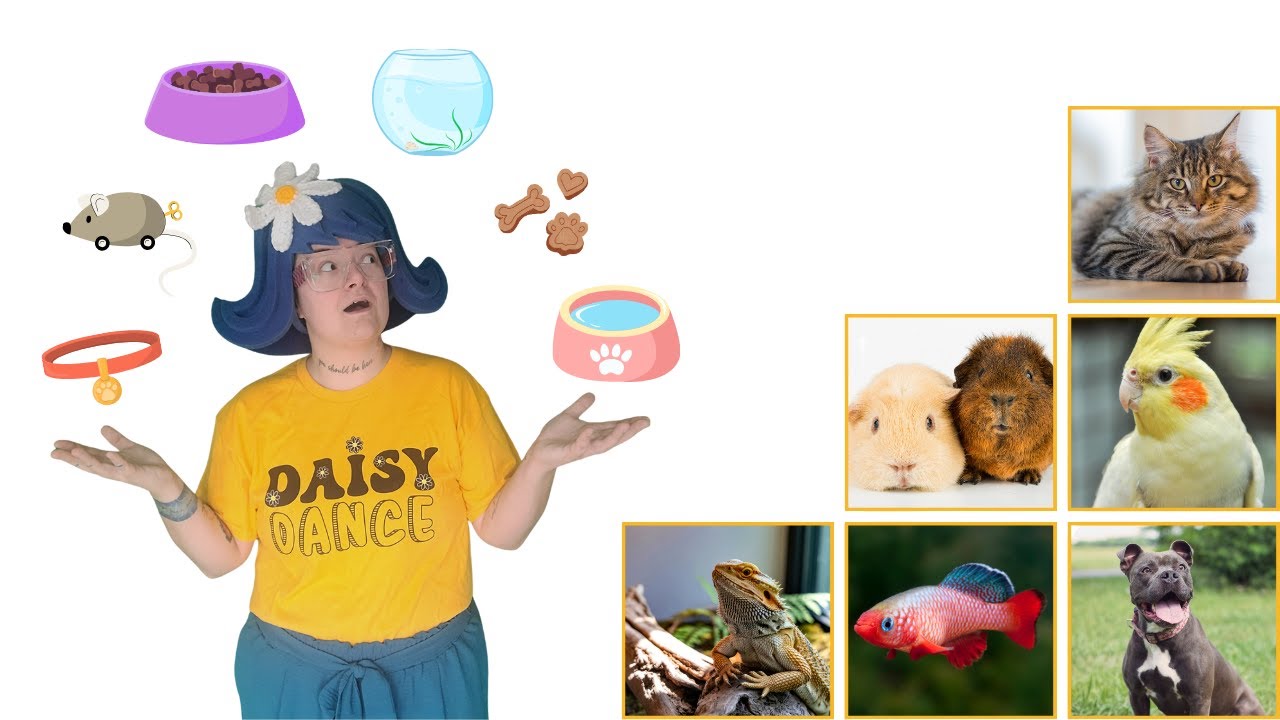 Jog & Grab the Pet Supplies with Daisy Dance!