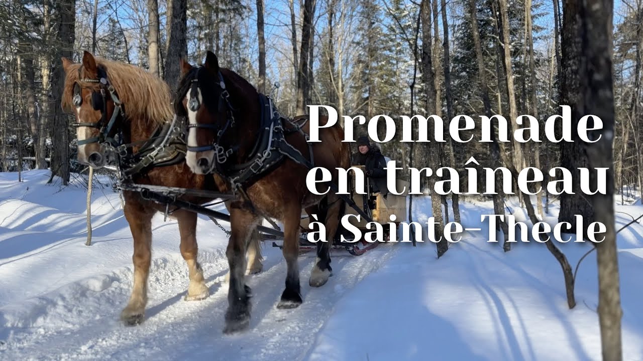 Promenade en traîneau - Alain Bédard