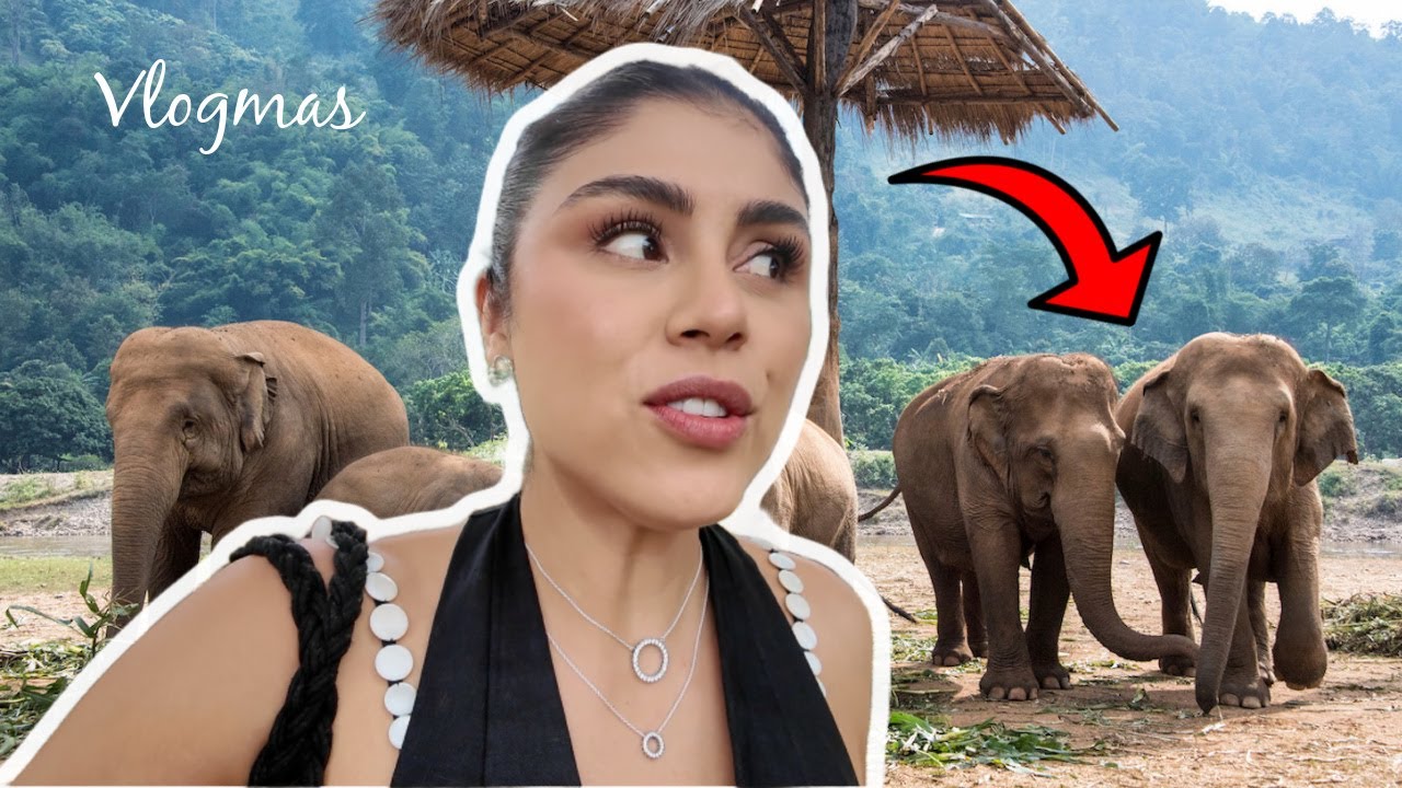 VISITANDO LOS ELEFANTES EN TAILANDIA ( VLOGMAS 8)