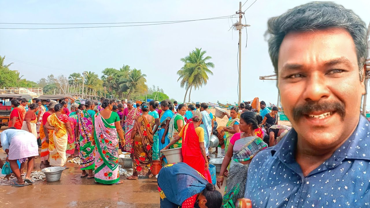 ஒரு மீன் இரண்டு ரூபாய் மட்டும் உயிர் மீன் ஏல முறையில் விற்பனை #fishing @nagoreashok
