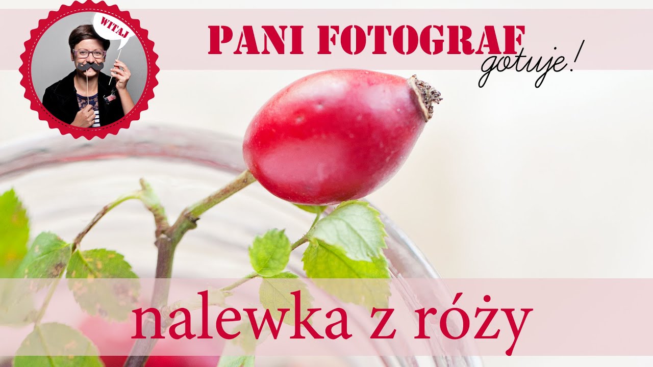 Nalewka z dzikiej róży - 1 część przepisu