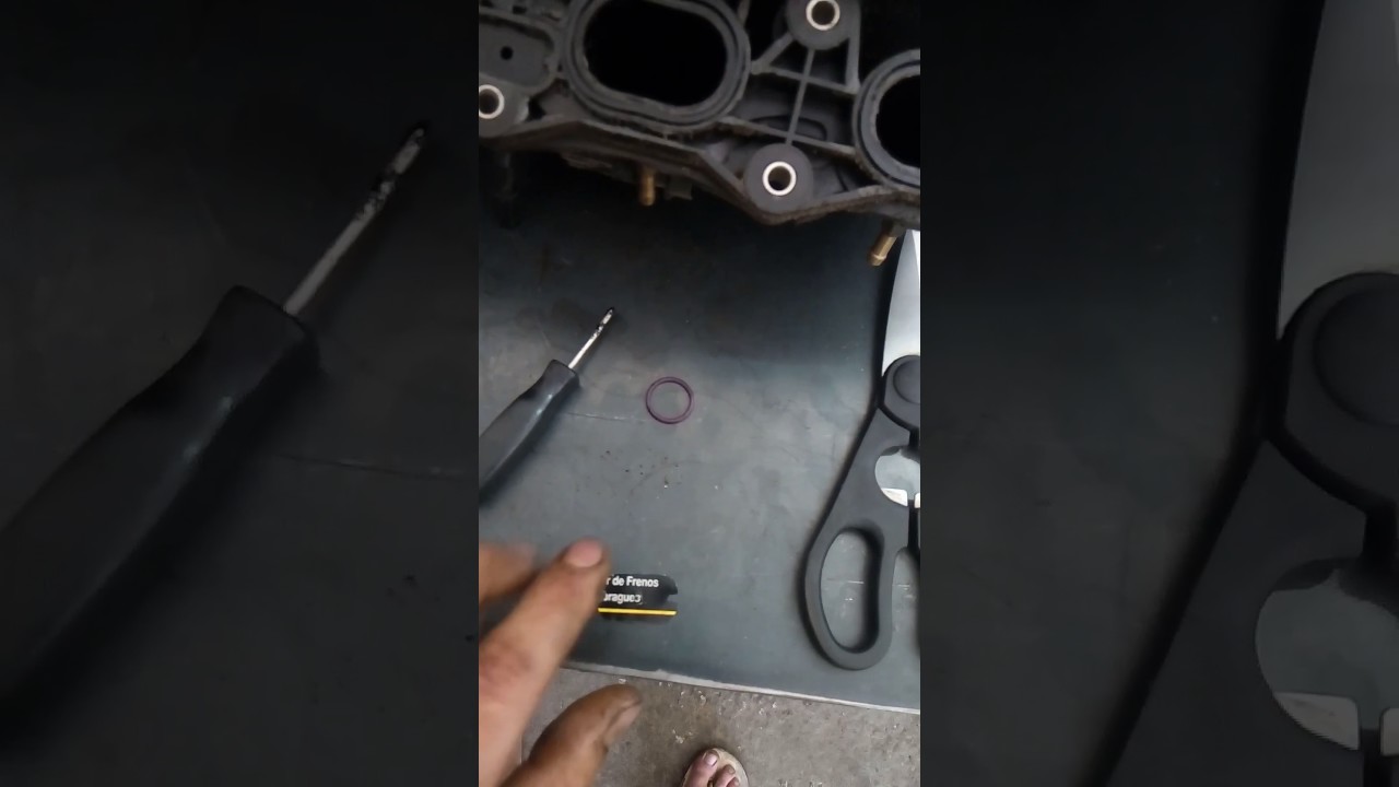 Масло во впускном колекторе vectra c z22se