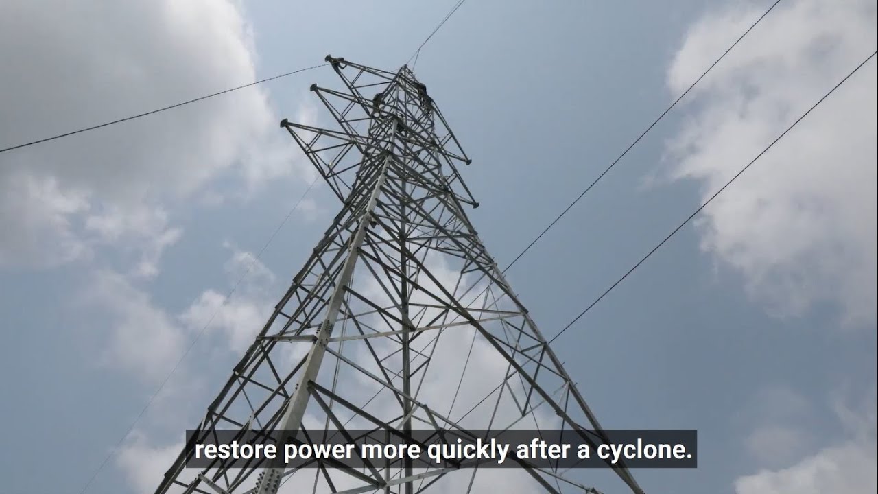 CDRI and Odisha Power Sector Study