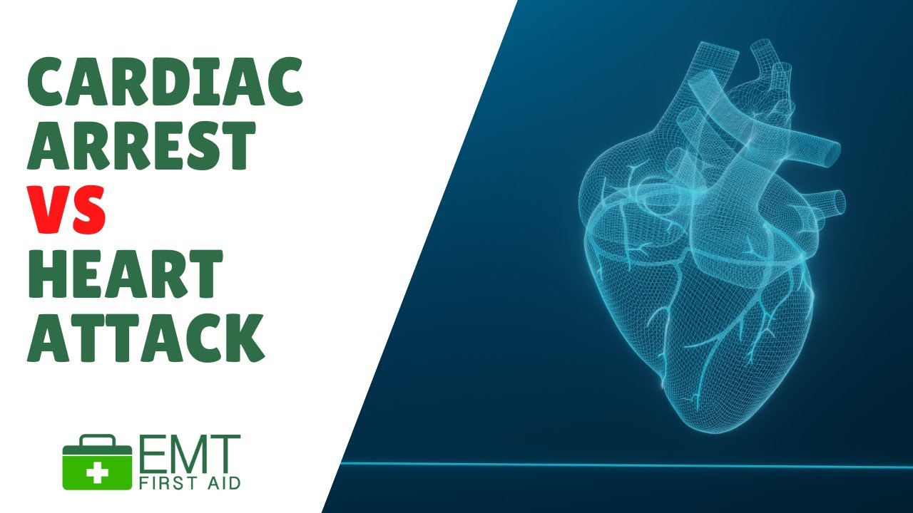 Heart Attacks vs Cardiac Arrest vs Respiratory Arrest |  Adult First Aid  | EMT First Aid Training