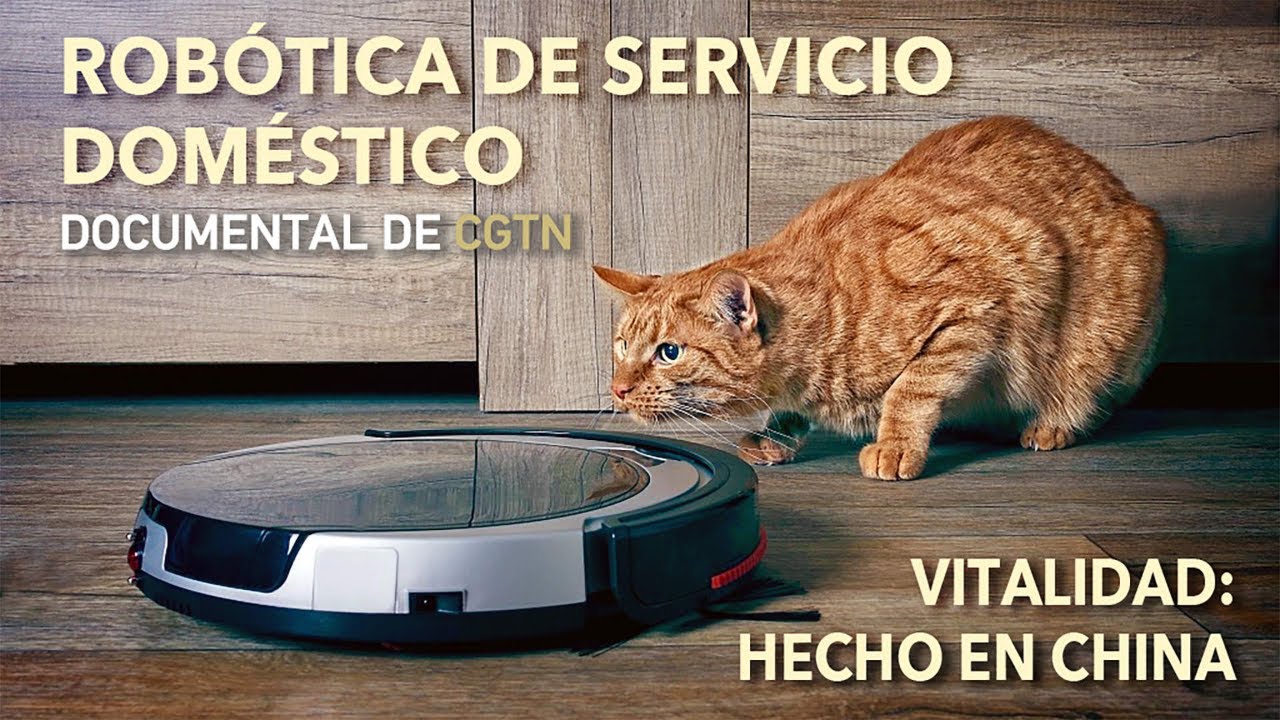 Vitalidad: hecho en China | Robótica de servicio doméstico