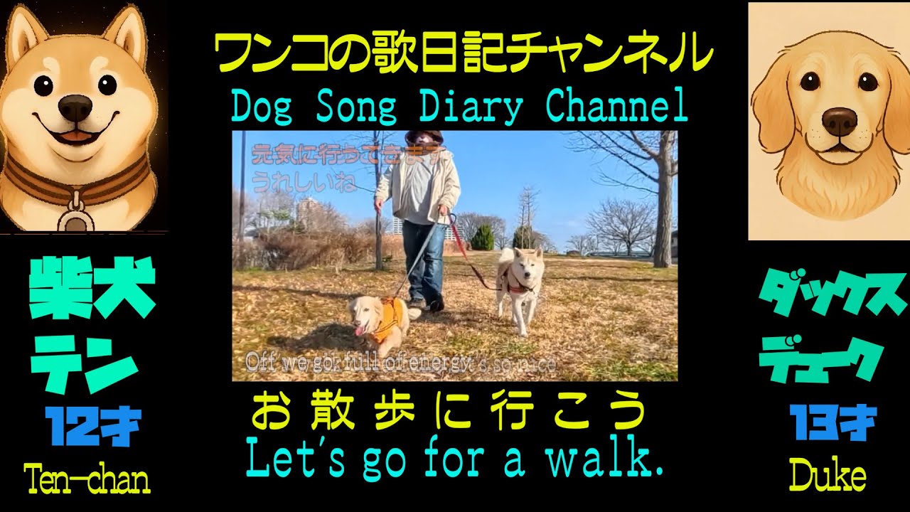 Let's go for a walk　#1 お散歩に行こう　Dog Song Diary Channel ワンコ歌日記