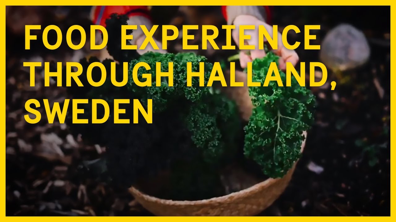 A close to nature food experience in Halland