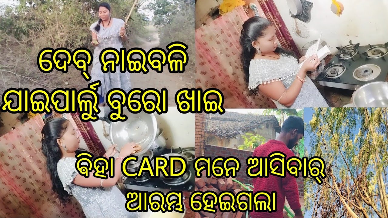 ଦେବ୍ ଙ୍କର୍ ପଛେ କେନ୍ ସବୁ କାମ୍ କରୁଛୁ ଘାଏଲେଖା ଲାଜ୍ ଲାଗ୍ସି😝 ସଜନା ଫୁଲ୍ ଜେନ୍ ଧରିଛେ ପଇସା ହି ପଇସା ହେବା 🤑