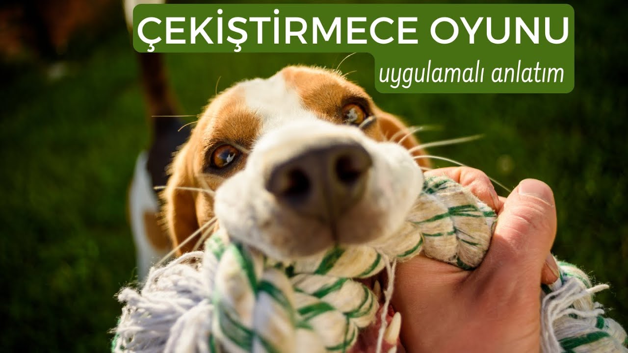 &Ccedil;ekiştirmece Oyunu - Uygulamalı Anlatım