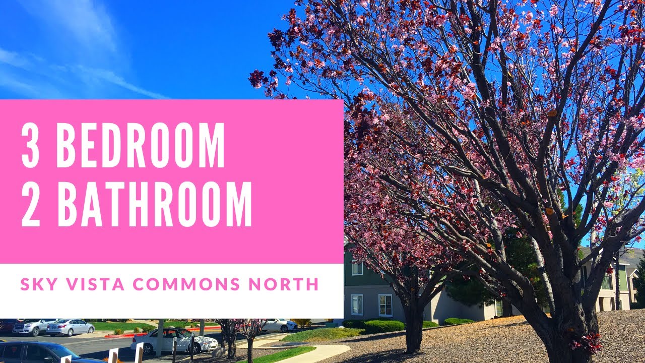 3 Bedroom/2 Bathroom Apartment Tour - SKY VISTA COMMONS