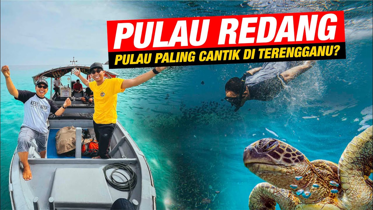 Menyelam dengan Penyu di Taman Laut Pulau Redang!