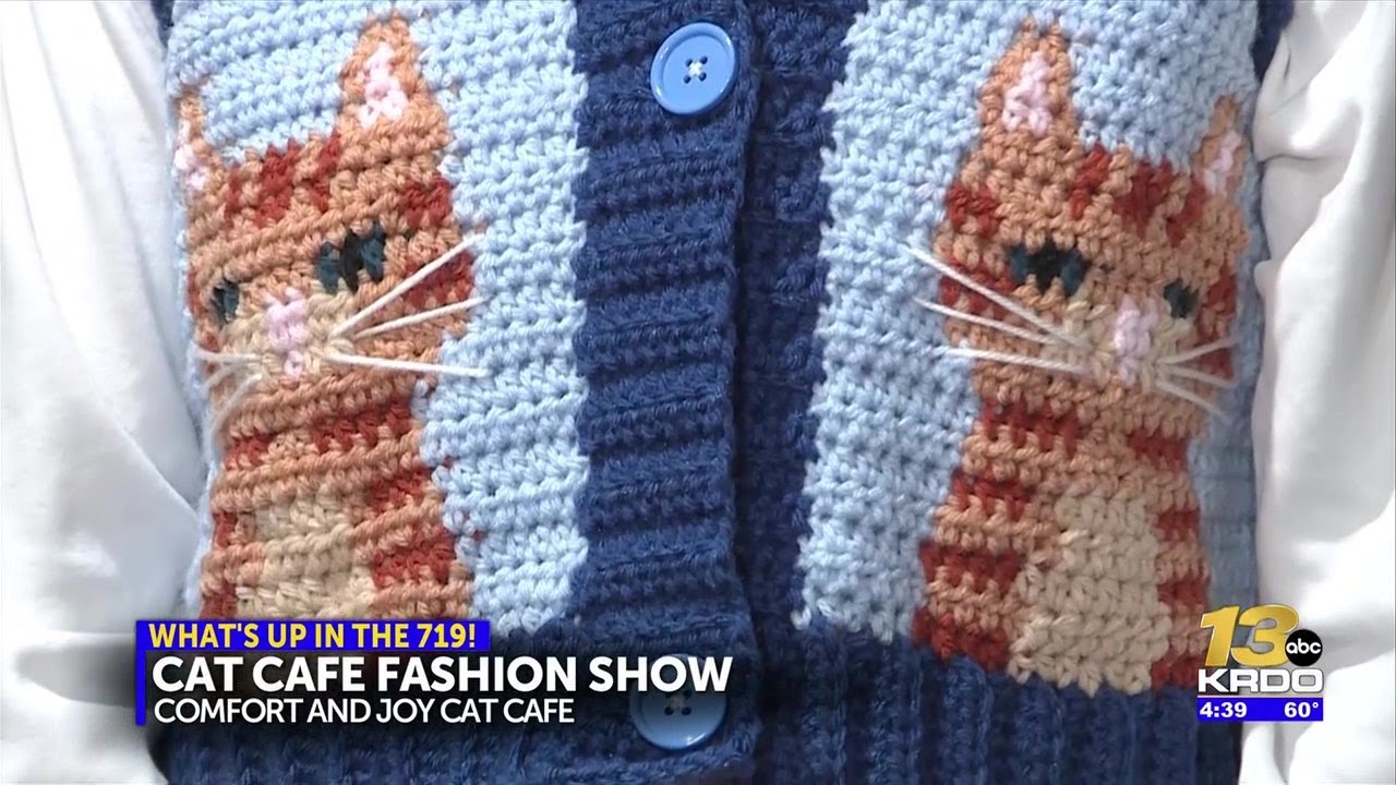 Cat-themed fashion show benefitting local cat cafe and partnerning shelter