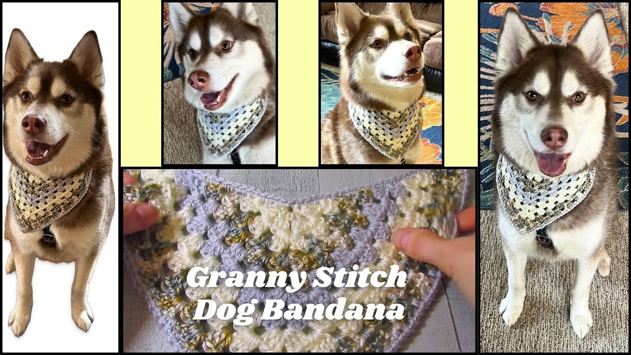 Easy Crochet Granny Stitch Dog Bandana- Make Any Size- Use Any Yarn and Hook- Scrap Yarn Project