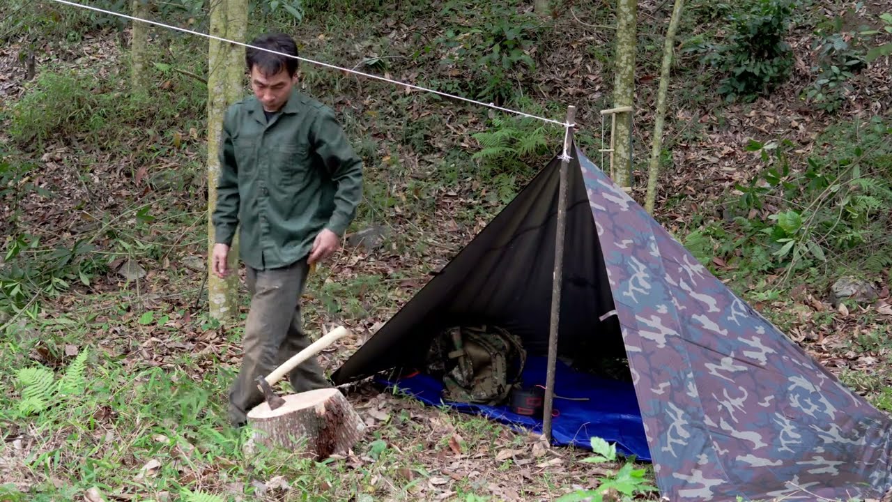 Solo Camping in Forest, Survive And Find Food | Dan Da