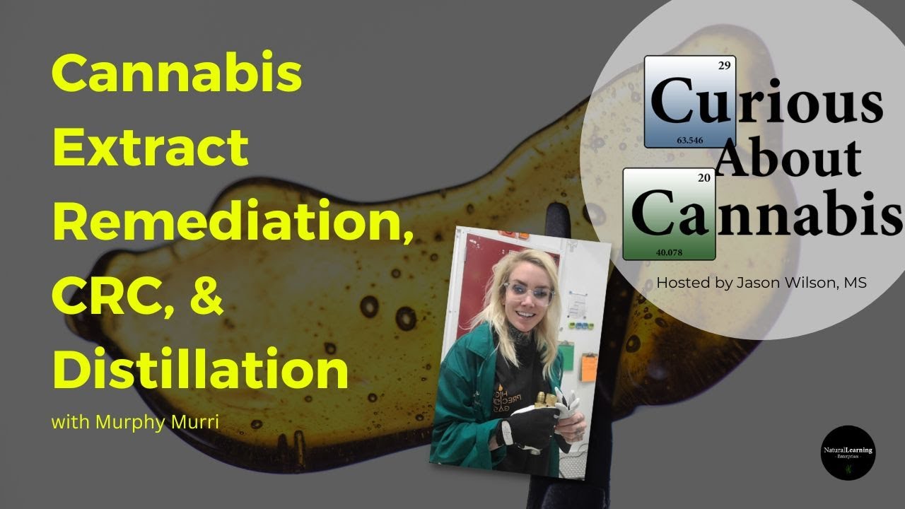 Cannabis Extract Remediation, CRC Color Remediation, Distillation with Murphy Murri