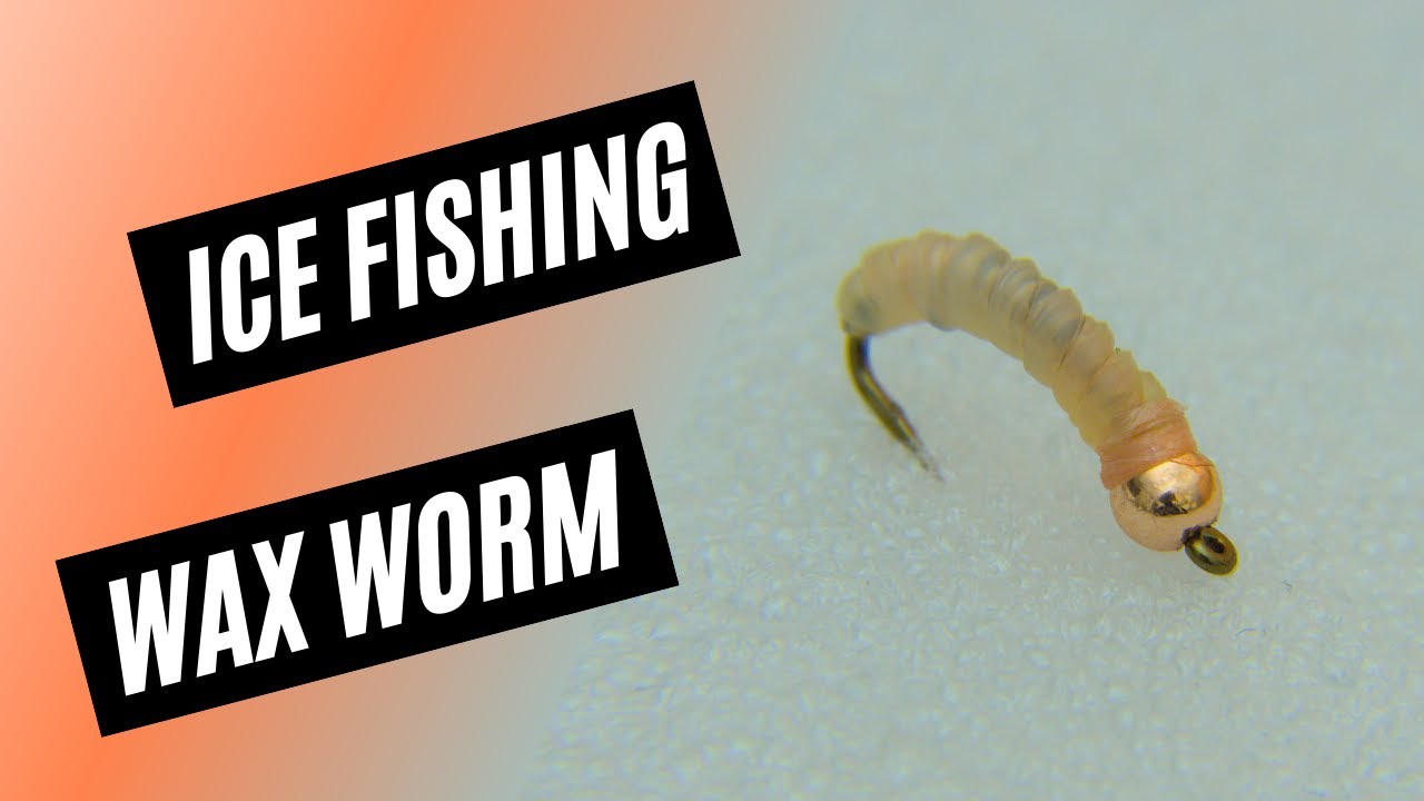 Ice Fishing Wax Worm Fly Pattern