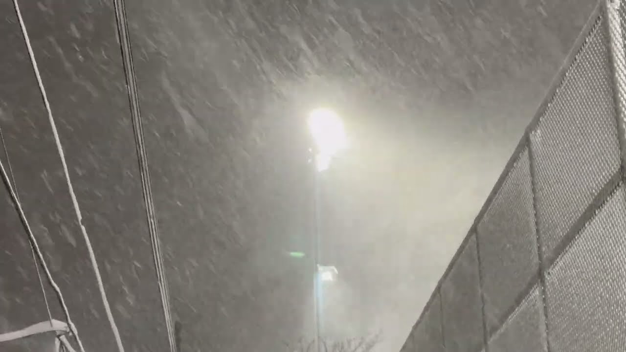 NEW YORK SHUT DOWN SUPERSTORM 2/22/2026@NEWYORKCITYCARS #shorts #news #newyork #nyc #snow#snowstorm