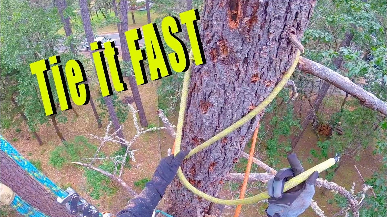 Running Bowline Tutorial -plus stories