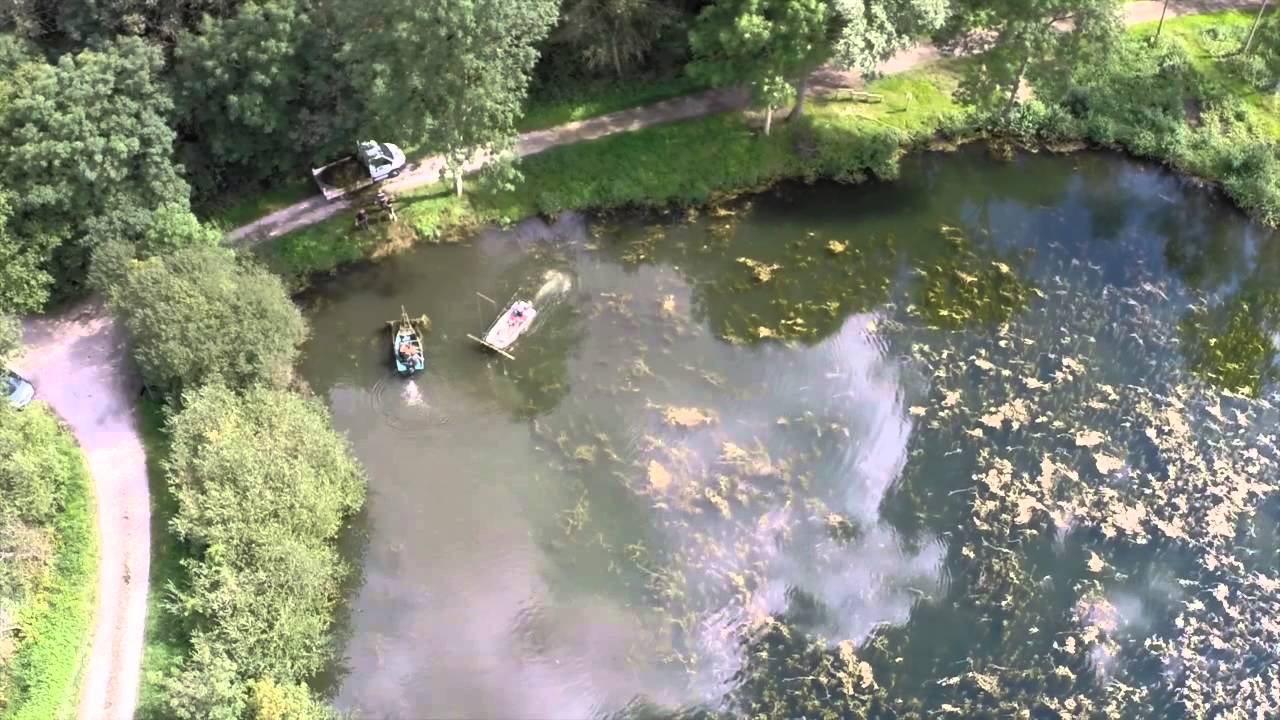 Nettoyage grand étang Dordives.