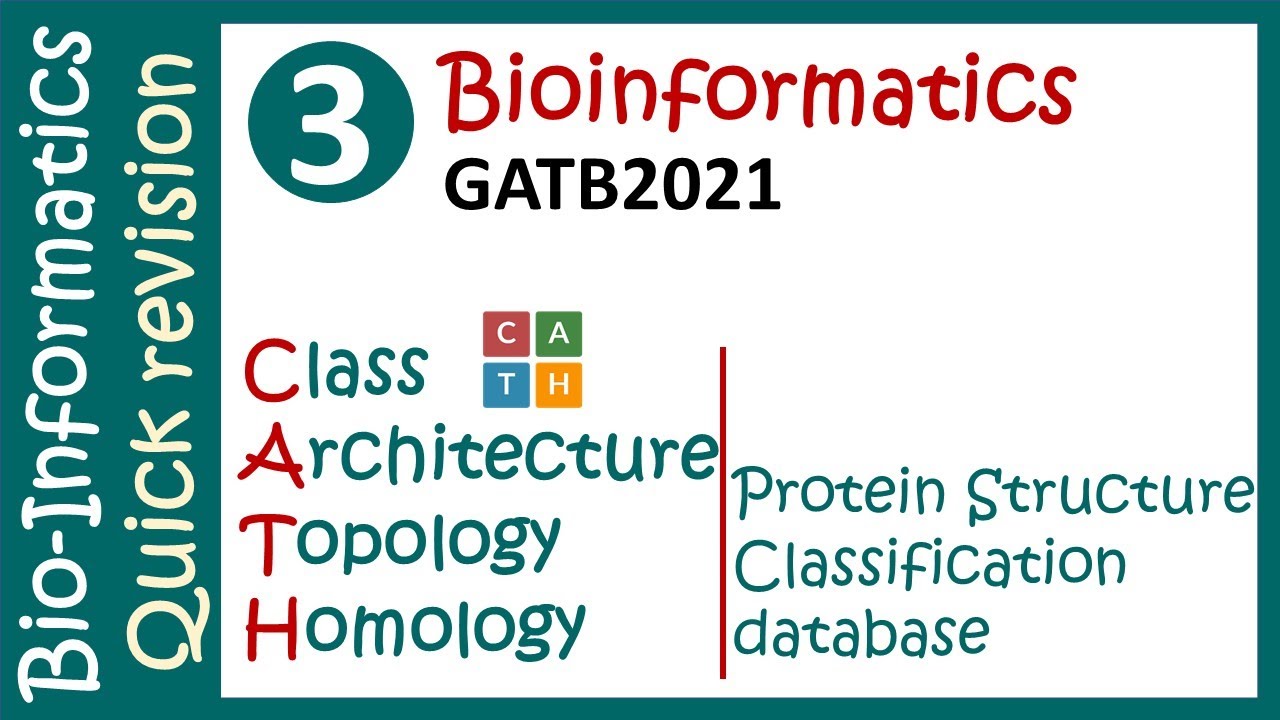 CATH Database | Protein Domains Prediction | Protein structure classification database | GATB2021