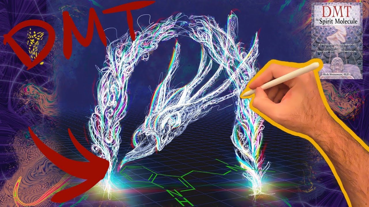 I Saw This On DMT!!! l Psychedelic Trip Report l Entities l iPad Digital Art