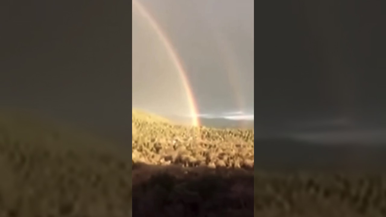 DOUBLE RAINBOW SONG 😂 #nostalgia #shorts #throwback #classic #meme #popular #theoriginalinternet