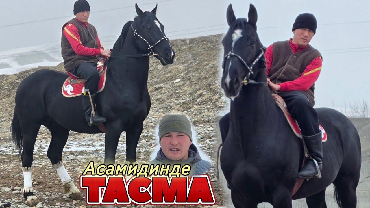 ТАСМА ЖАНЫБАР КАРА КҮЛҮК ЭКЕН ГО 🔥ӨРТ ЭКЕН АСАМИДИНДЕ