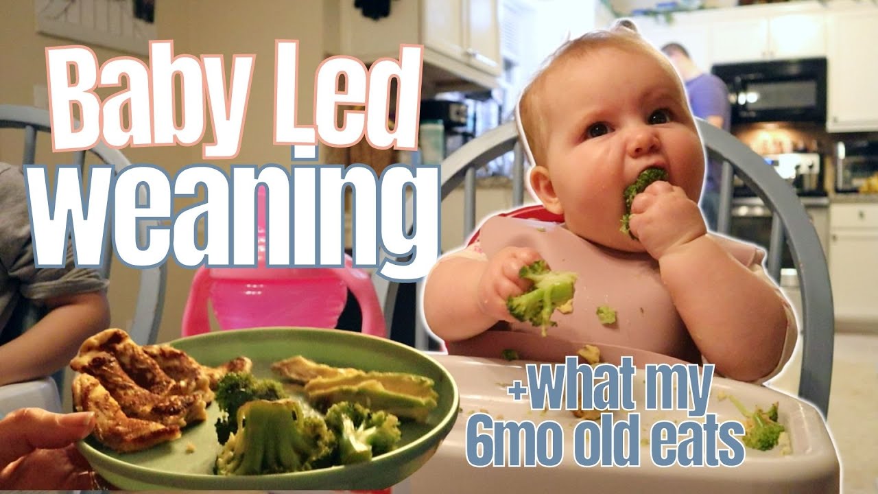 Baby Led Weaning at 6 Months Old | Starting solids & Rules we do + don't follow | Stay at Home Mom