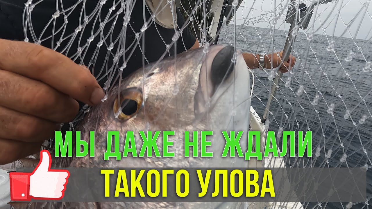 Такого улова мы даже и не ждали! Незабываемая рыбалка в Атлантическом океане