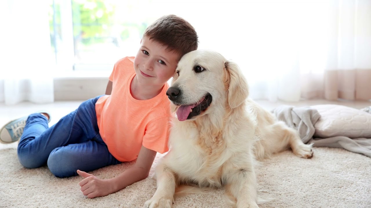 Best Carpet Cleaning Company in Austin, Texas