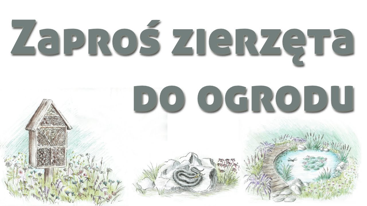 Zaproś zwierzęta do ogrodu przyjaznego naturze