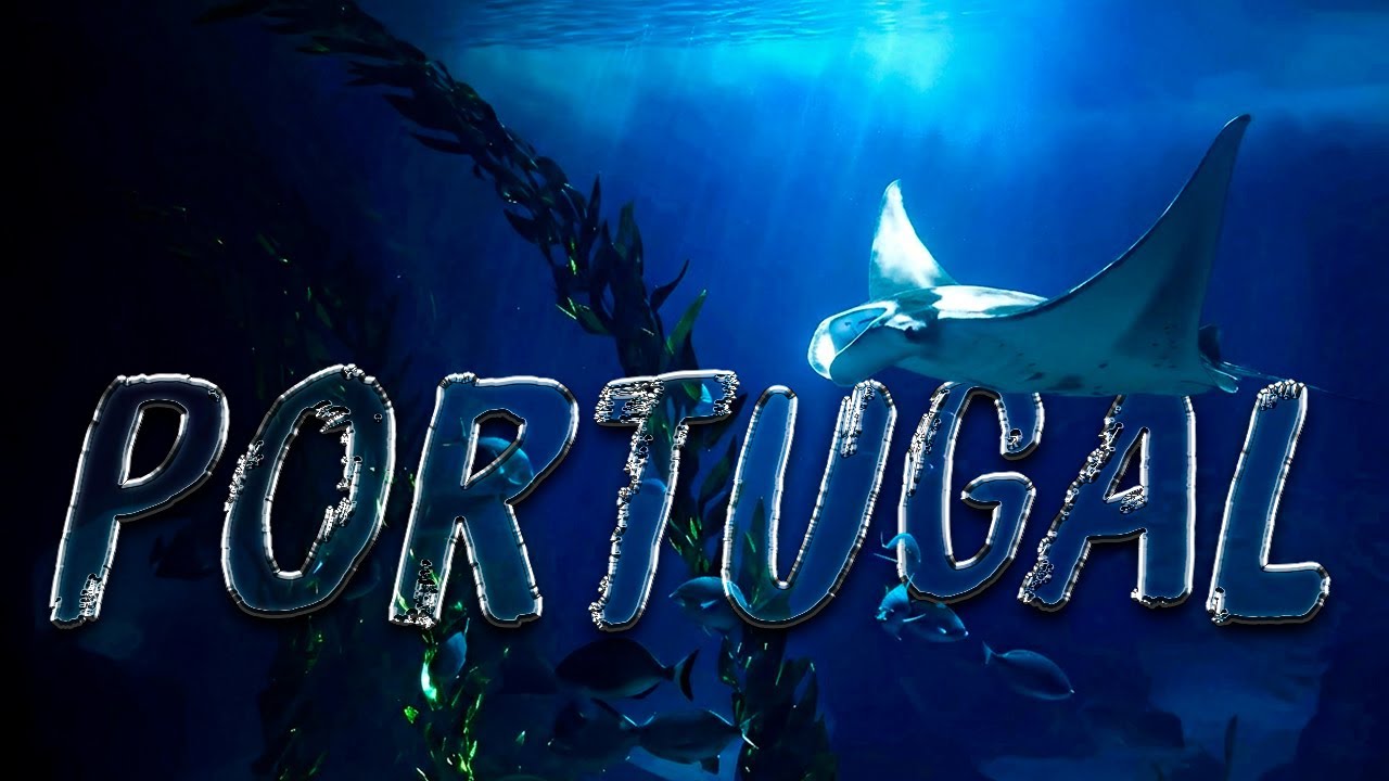 underwater | 4K Cinematic Travel Film