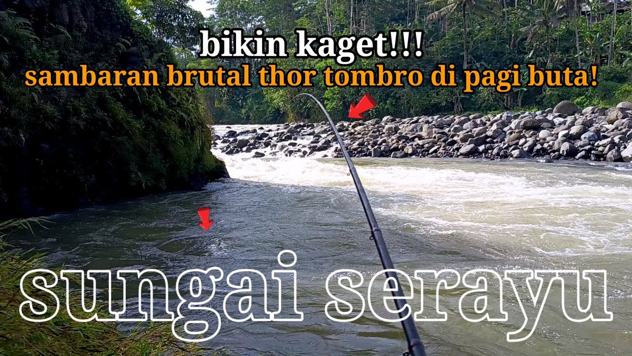 UMPAN AMPUH MANCING DI SUNGAI SERAYU DI MUSIM HUJAN!!! 
