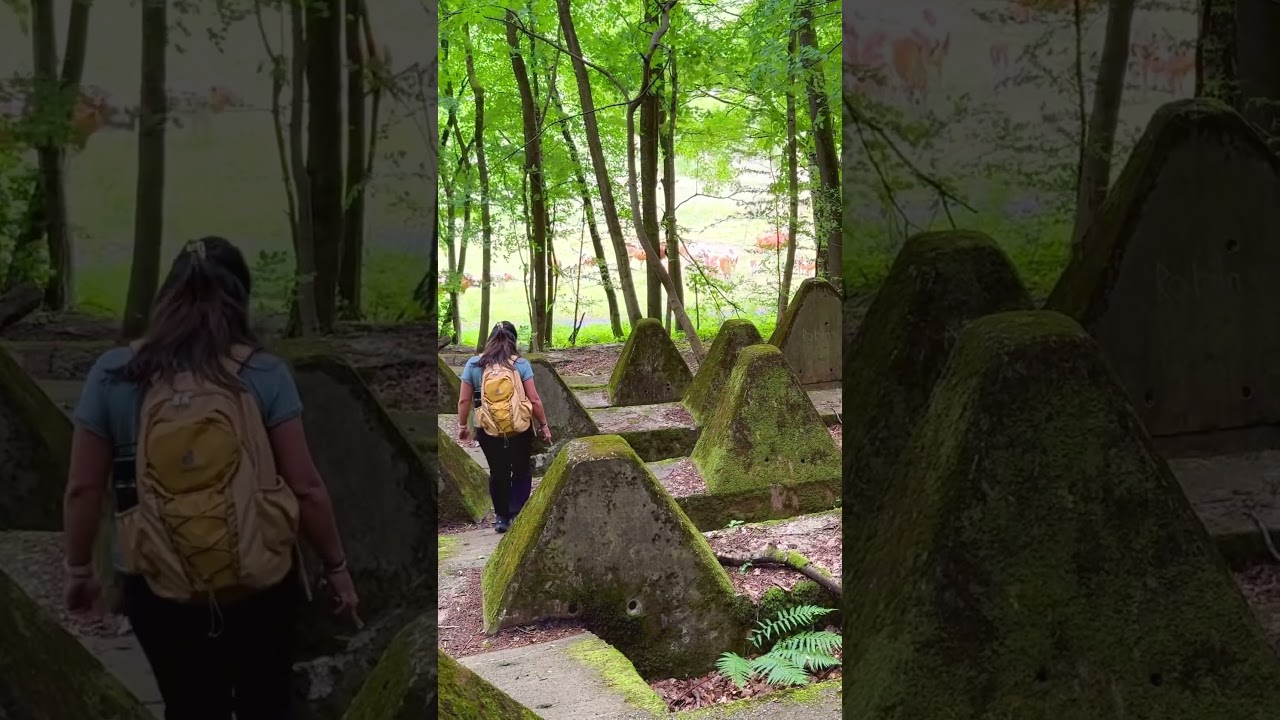 World War II dragons teeth in Germany #hikingingermany #hiking