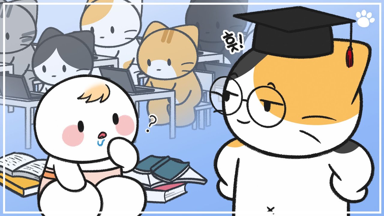 고양이 지능에 대한 놀라운 최신 연구 결과! 사람 아기보다 빨리 배운다고?