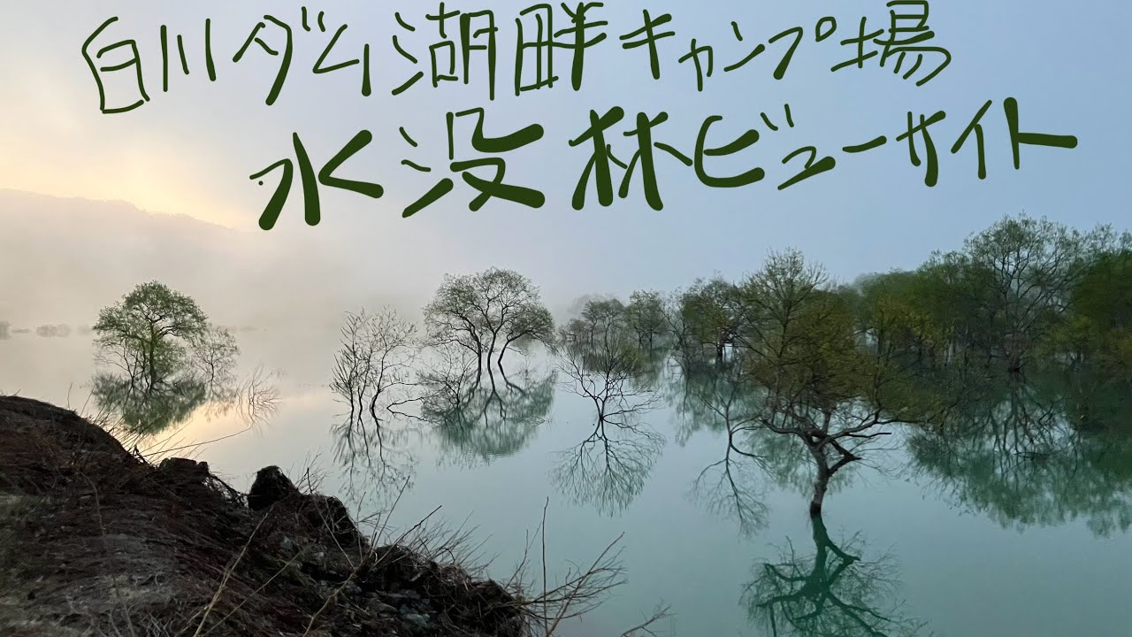 第三十八籠【山形：水没林・白川ダム湖畔キャンプ場】雪解け水に没する樹々を眺めながらの幻想湖畔ルナーソロキャンプ。