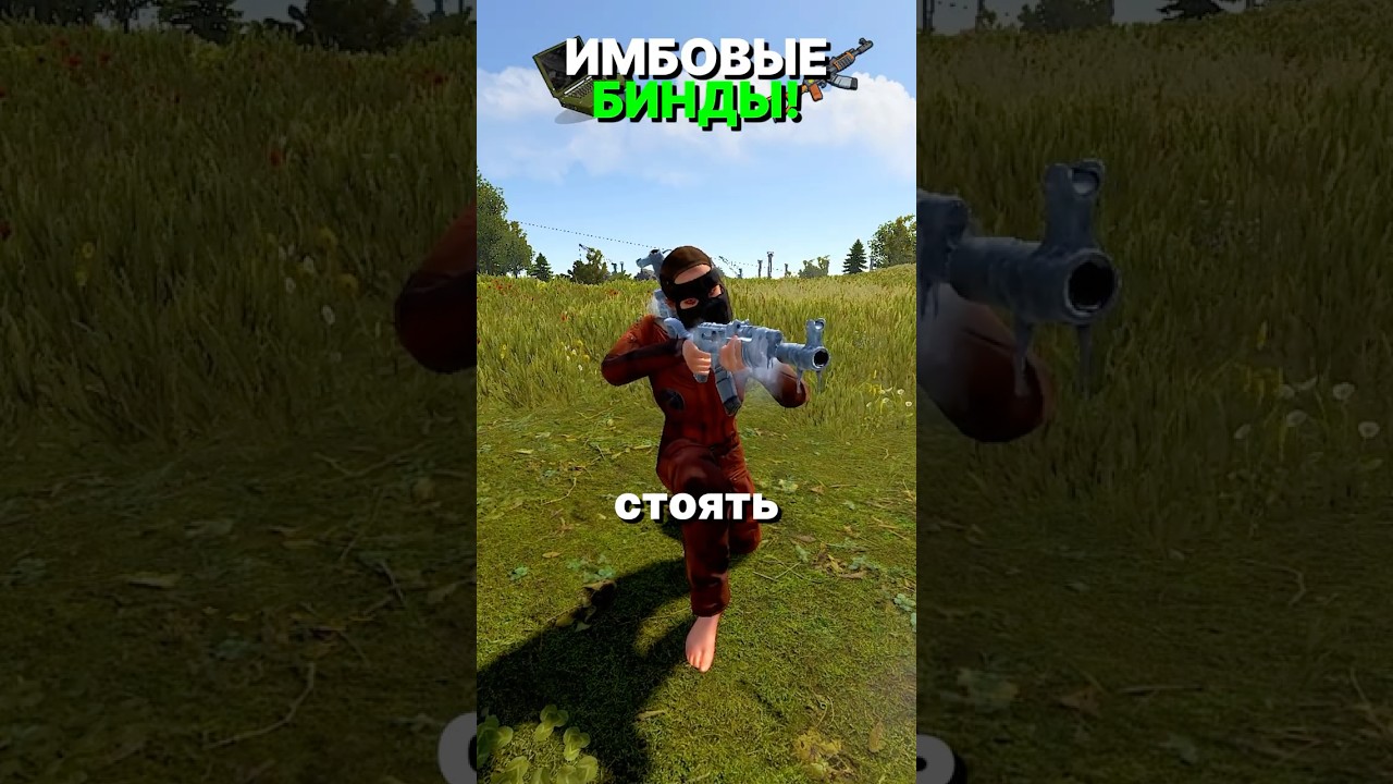 ТРИ ИМБОВЫХ БИНДА В РАСТ/RUST #rust #оил #раст