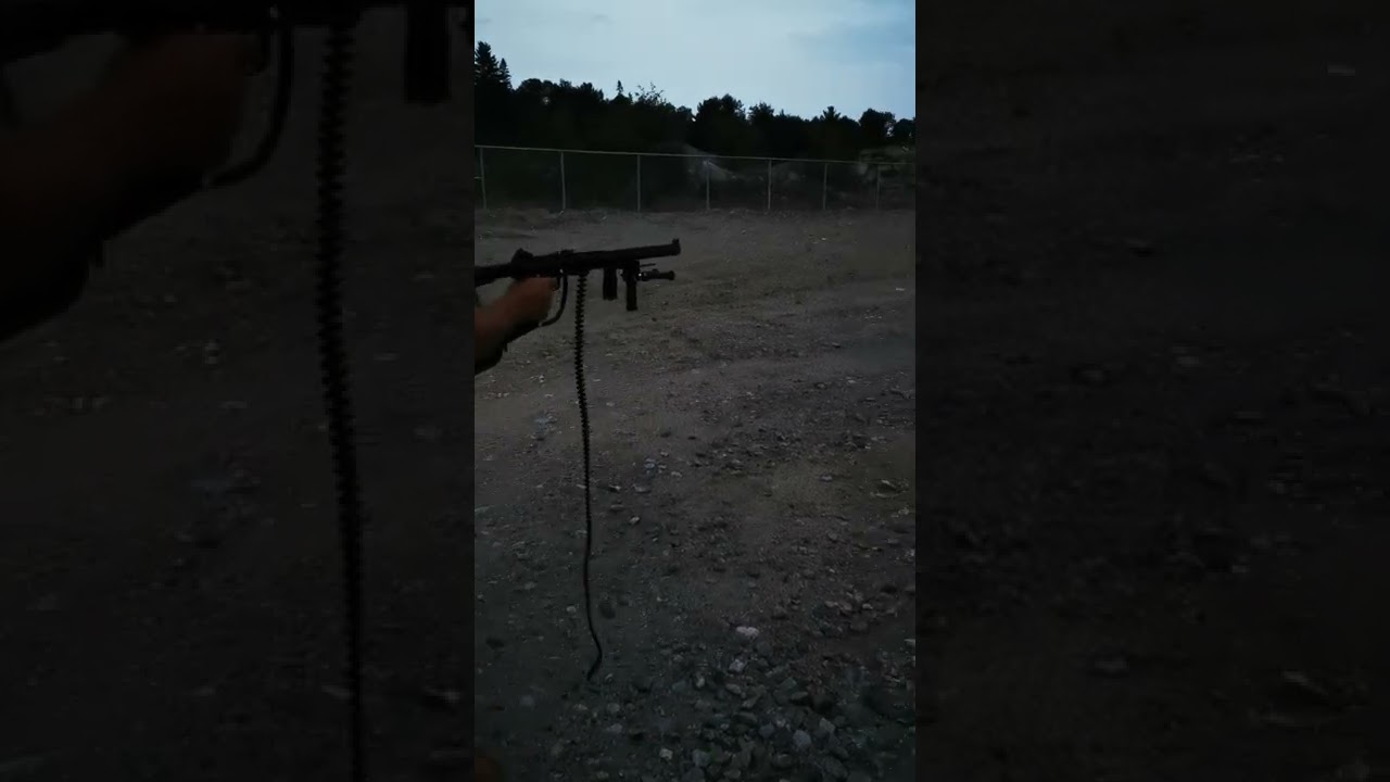 SMG .22 pellet gun shots