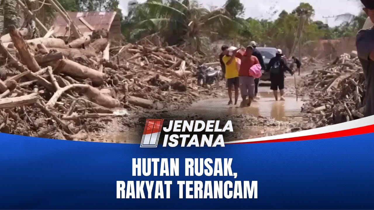Negara Diuji! Hutan Dirampas, Rakyat Menanggung Akibatnya | JENDELA ISTANA