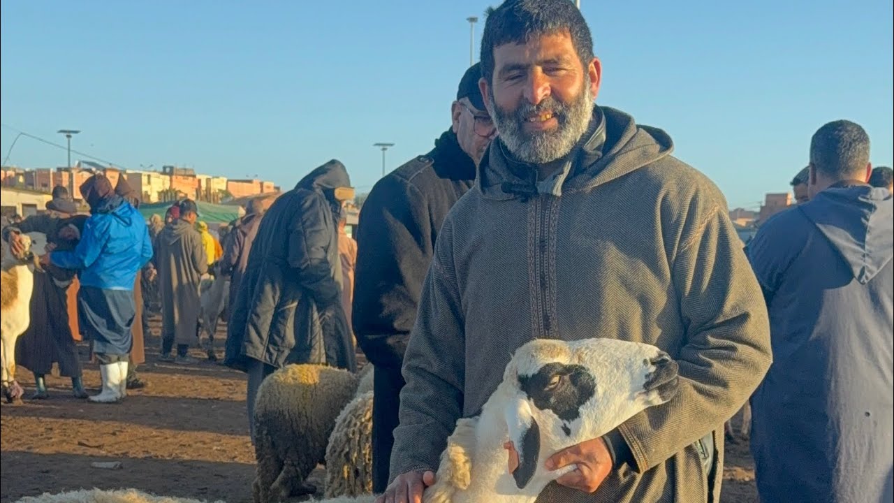 مباشرة من سوق كيسر مع ثمن النعجة الوالدة او الخروف