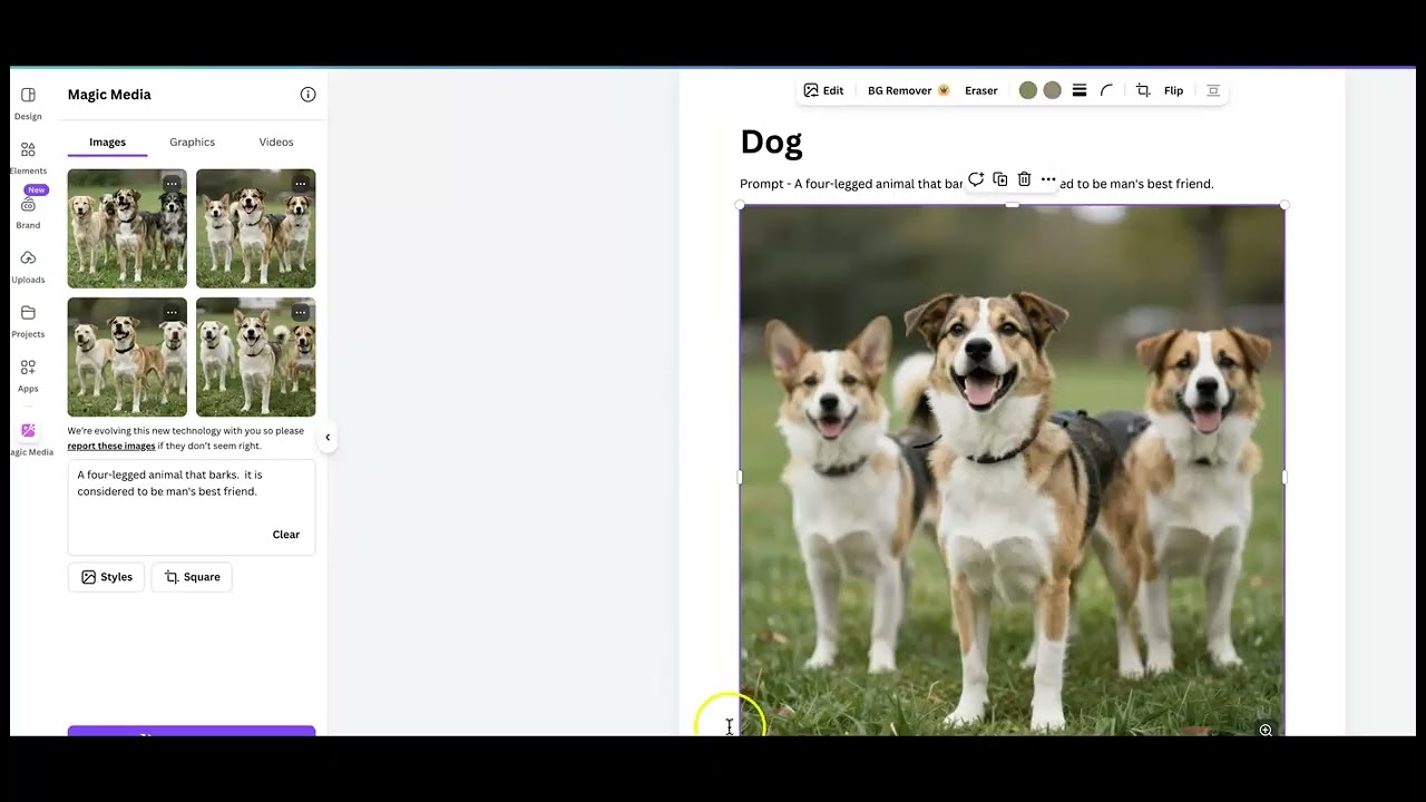 module 5 canva