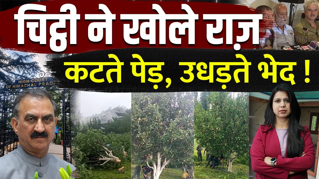 सेब के पेड़ों पर चली आरी… सरकार पर पड़ गई भारी !आमदनी सेबों की, जड़ें सियासत की ! || KHLive Himachal